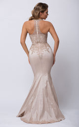 Amelia Couture 564 Champagne