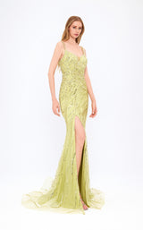 Mambo Couture 928MG804 Green