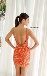 Primavera Couture 4230 Orange