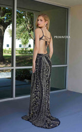 Primavera Couture 4308 Black/Gold