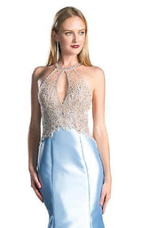 Cinderella Divine 71321 Perry Blue