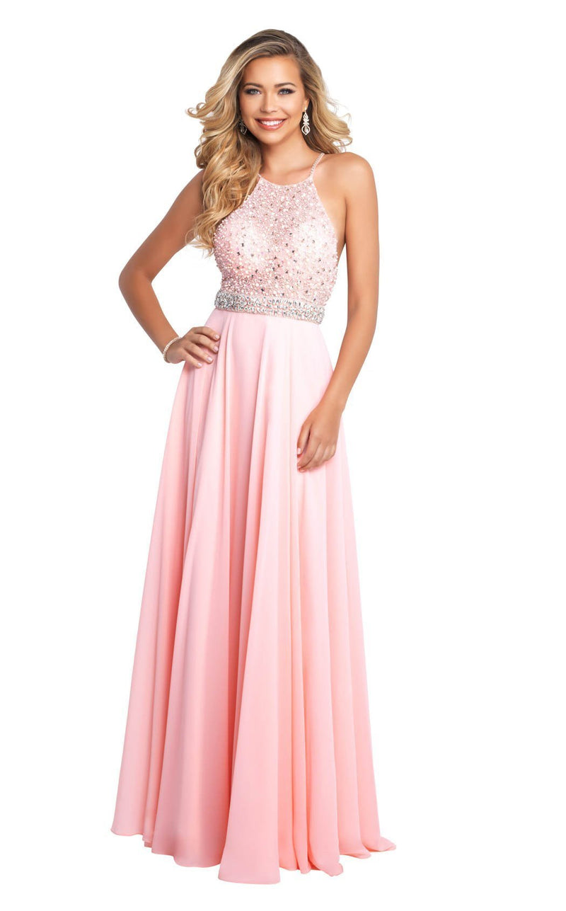 Blush 11556