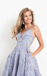 JVN JVN05738 Periwinkle