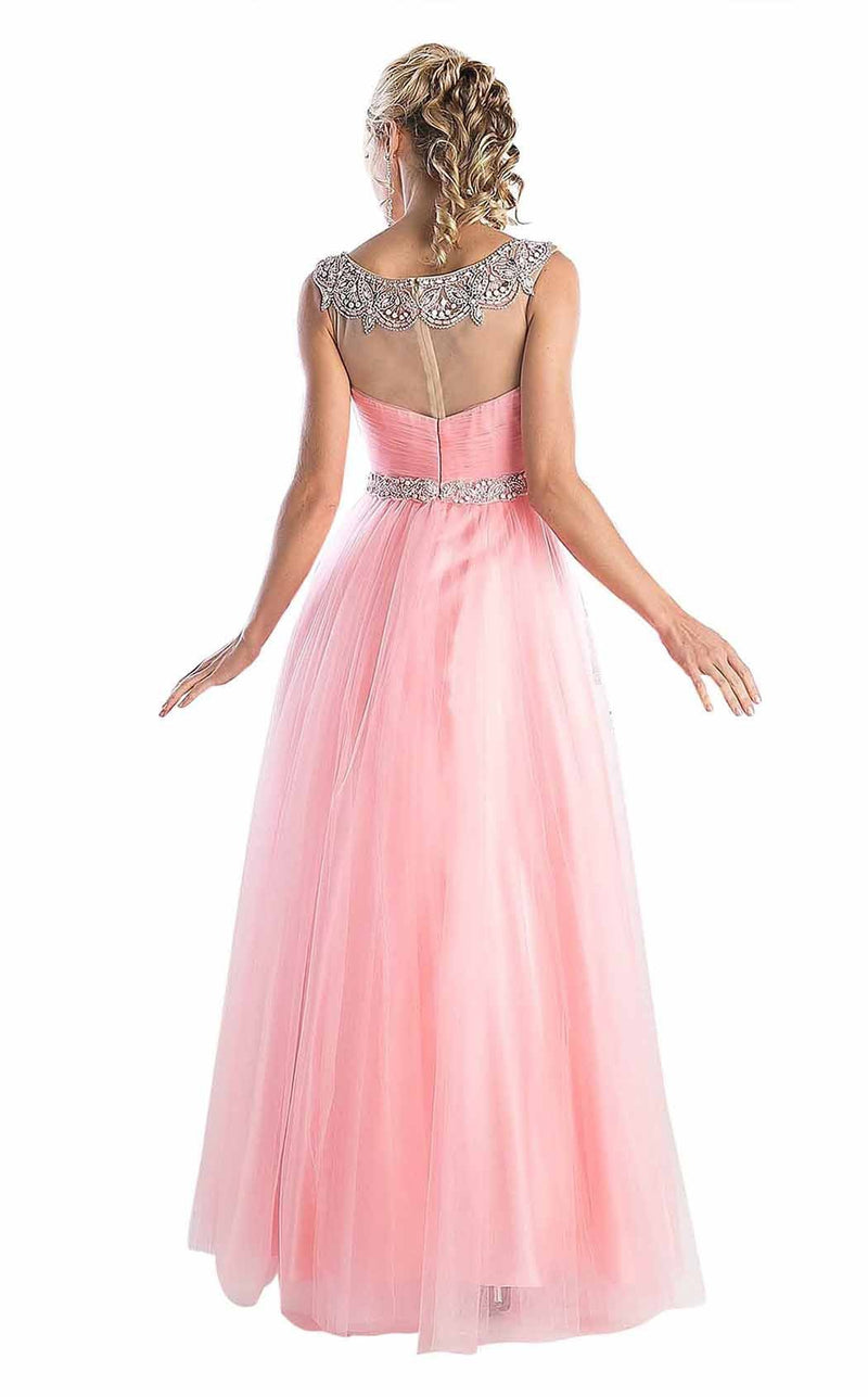 Cinderella Divine PC908 Coral