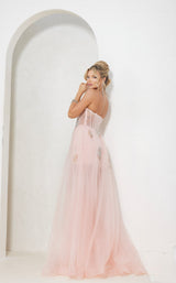 Terani 241P2087 Blush